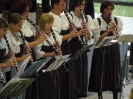 2012_10_Blasmusikfestival_22