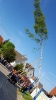 Maibaumaufstellen am 28.04.2018
