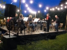 Sommernacht im Pfarrgarten am 26.07.2014