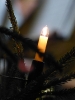 2012_12_Weihnachtskonzert_21